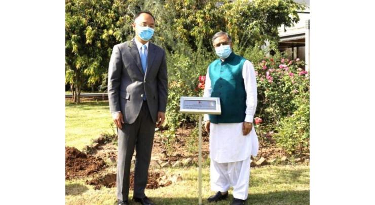 FM Qureshi, Ambassador Nong plant Pak-China `Friendship Tree' at Foreign Ministry
