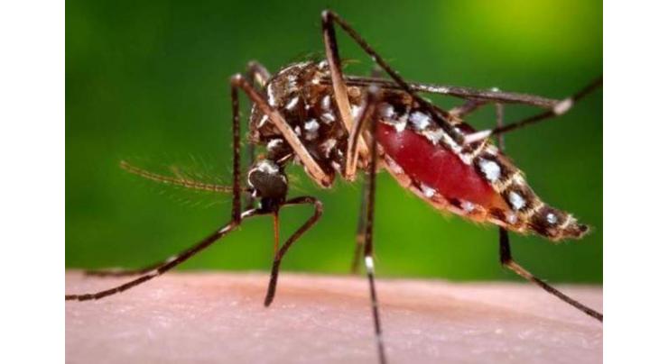 DC reviews anti dengue arrangements
