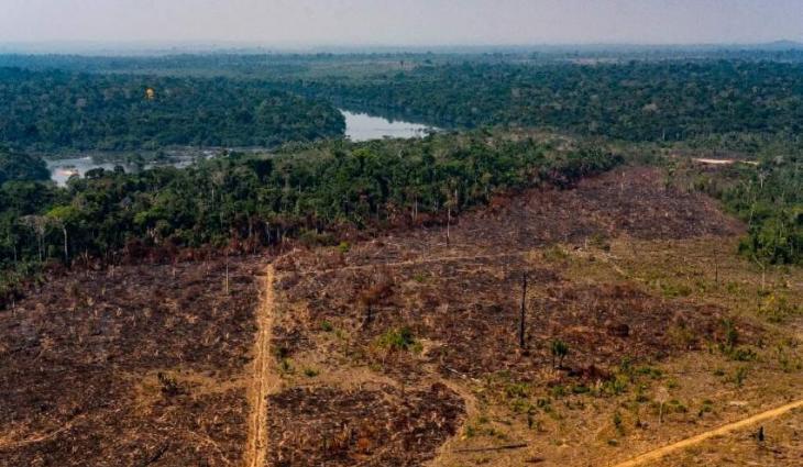 Brazilian Amazon deforestation hits record for May
