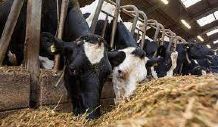 1st Scientific Training on 'Phenotypic Characterization of Livestock Breeds of Pakistan' starts