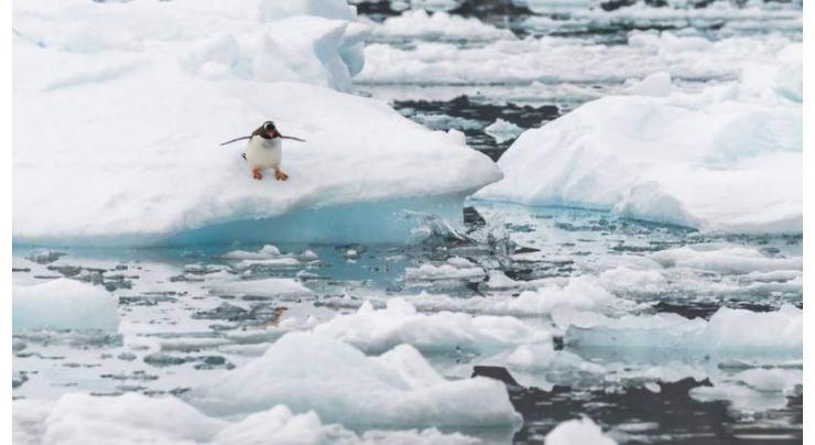 UN confirms 18.3C record heat in Antarctica
