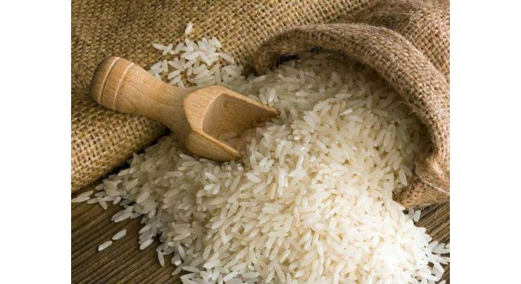 Pakistan's rice exports to surge to record level after gaining access to Russian market: Report
