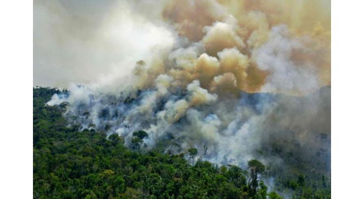 Warming, deforestation turn Amazon into source of CO2
