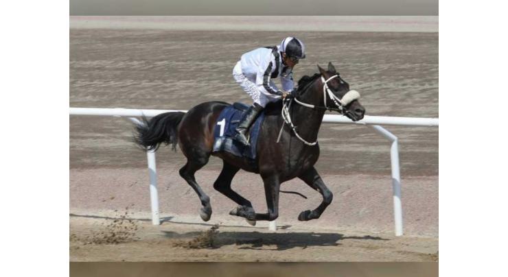 ‘Rasmi Al Khalidiyah’ wins UAE President’s Cup World Series for Purebred Arabian Horses in Sweden