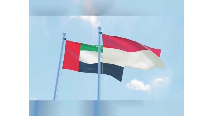 UAE sends plane carrying 56 tonnes of medical supplies to Indonesia