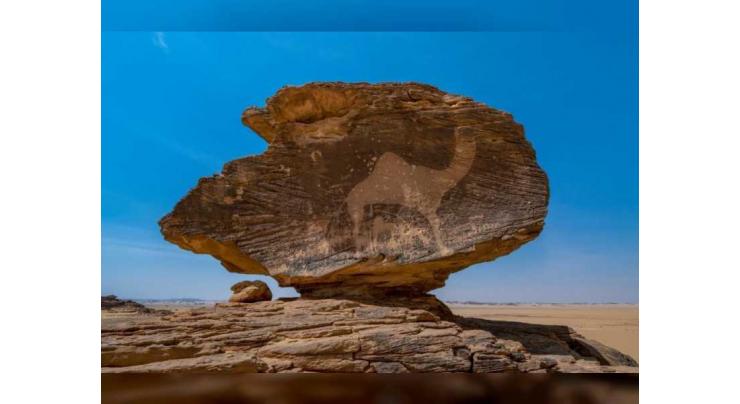 Five new sites in Arab, Europe regions inscribed on UNESCO’s World Heritage List