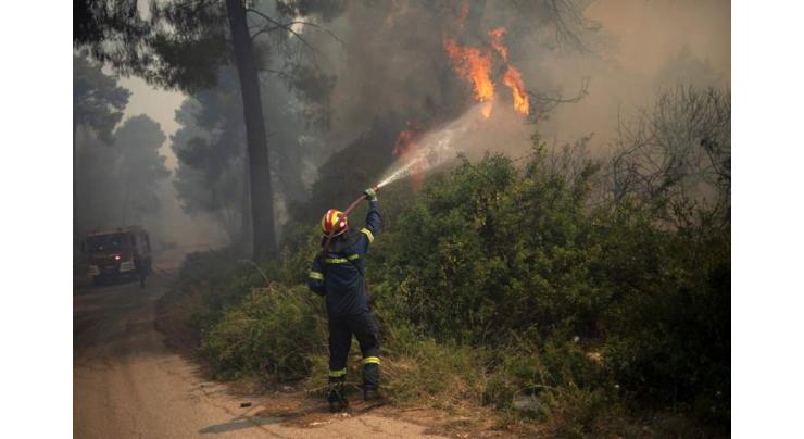 Firefighters battle forest blaze near Athens suburbs
