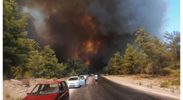 Death Toll From Forest Fire in Turkey's Antalya Province Rises to 3 - Authorities