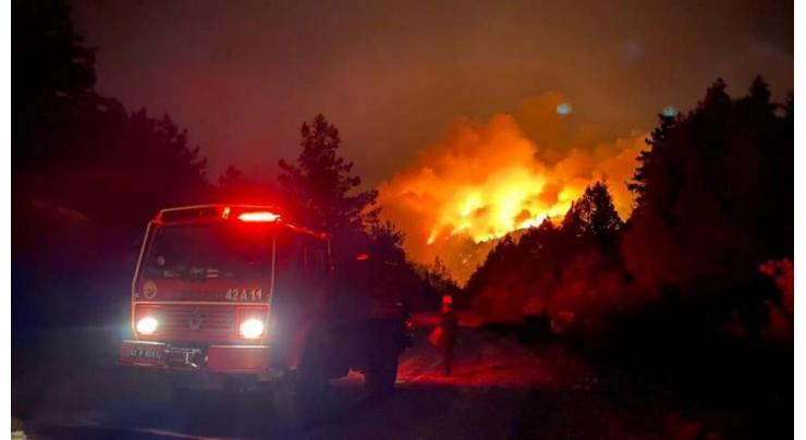 Erdogan's Spokesman Calls Wildfires in Turkey National Disaster