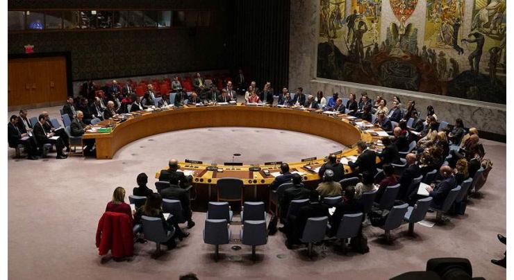 UNSC Extends CAR Arms Embargo, Panel of Experts Mandate for 1 Year - Resolution