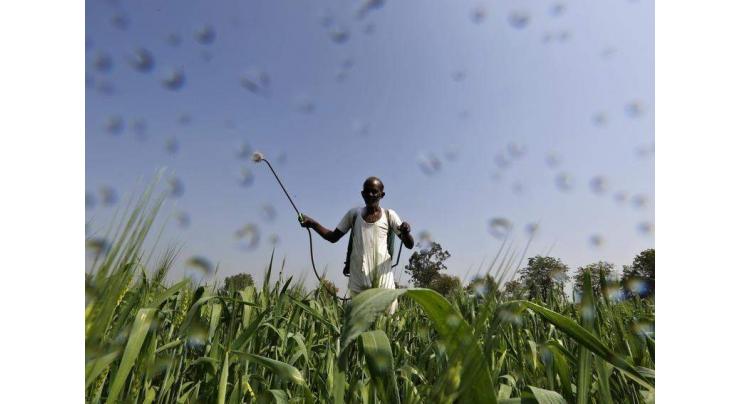 'No compromise on fake fertilizer, pesticides'
