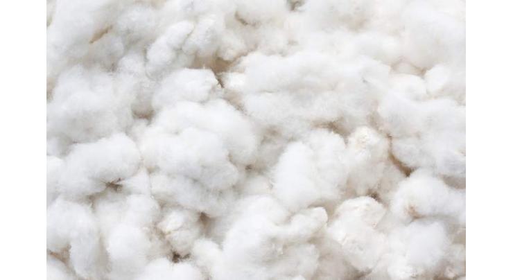 Cotton crop cultivated over 1.88 million hectares
