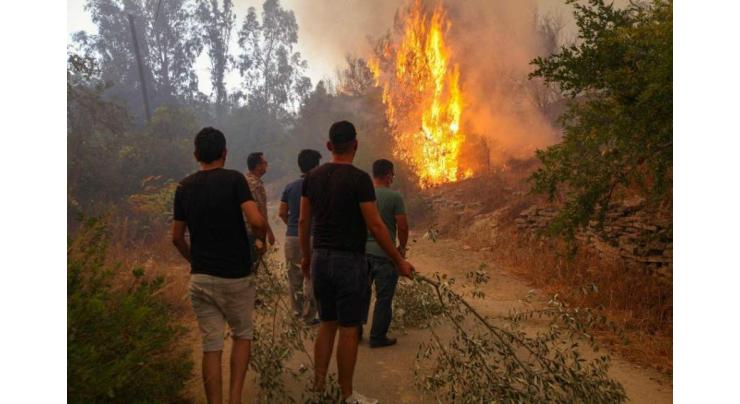 Turkey battles forest fires for fourth day
