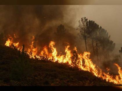 حرائق الغابات تلتهم آلاف الهكتارات في جنوب الأورال الروسي