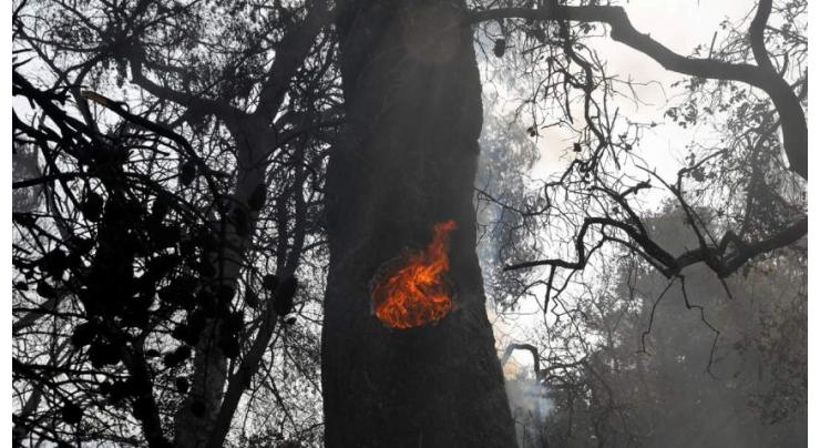 Greek firefighters battle blazes as temperatures soar
