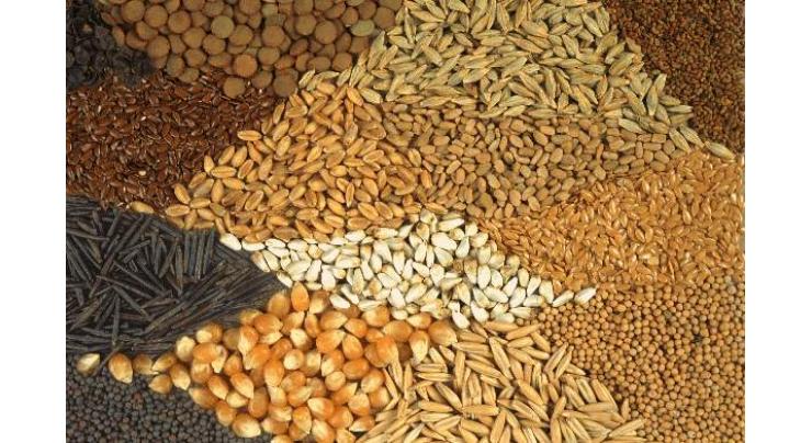 Oil seeds, nuts, kernals exports witnessed record increase 212.64%
