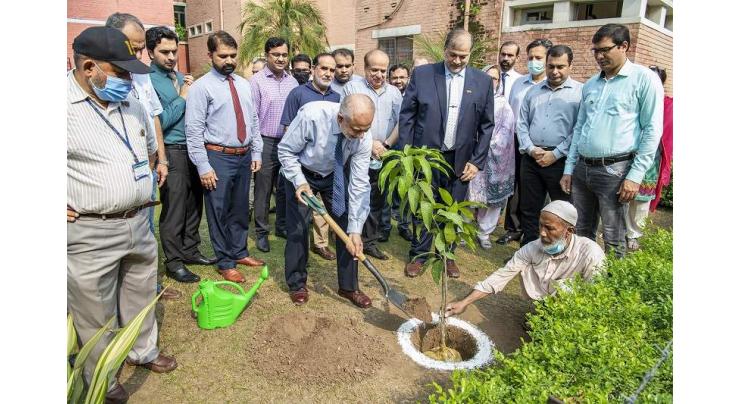 UVAS VC launched monsoon tree plantation Campaign to promote greenery under Prime Minister`s Green Pakistan Programme