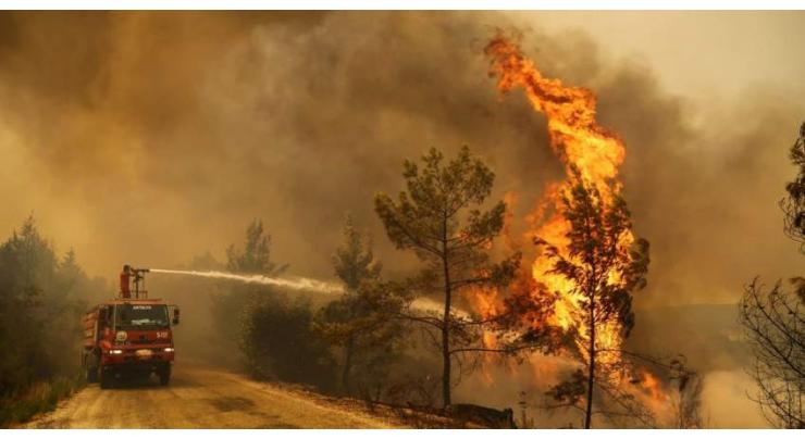 All Forest Fires in Turkey Under Control Except for 2 in Mugla Province - Minister