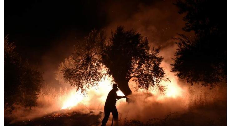 Almost 100,000 hectares of forest burned in Greek fires
