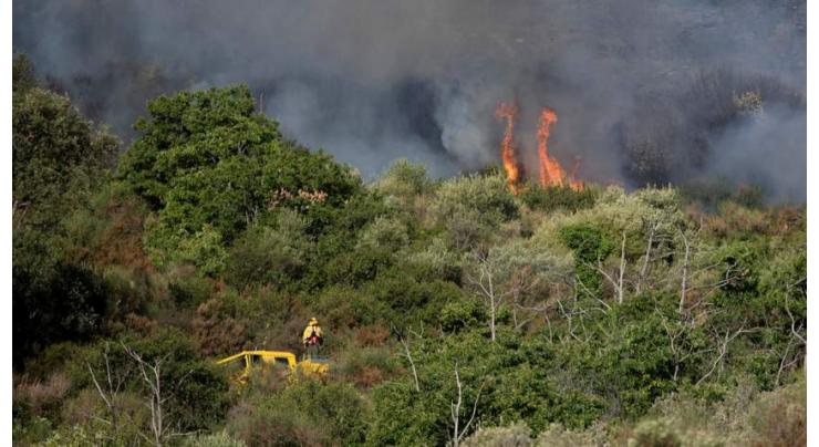 Firefighters bring northeastern Spain blaze under control

