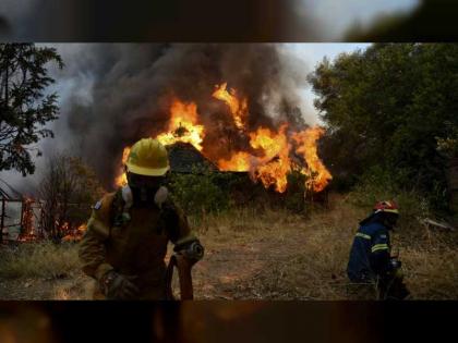 اليونان تكافح لإخماد النيران المستعرة في الغابات
