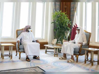 أمير قطر يستقبل وفدا برئاسة طحنون بن زايد