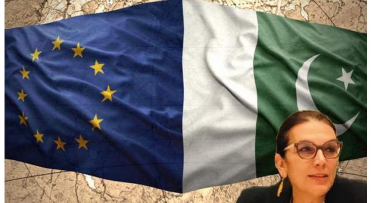 EU to launch Business Forum to facilitate Pakistani SMEs, boost trade
