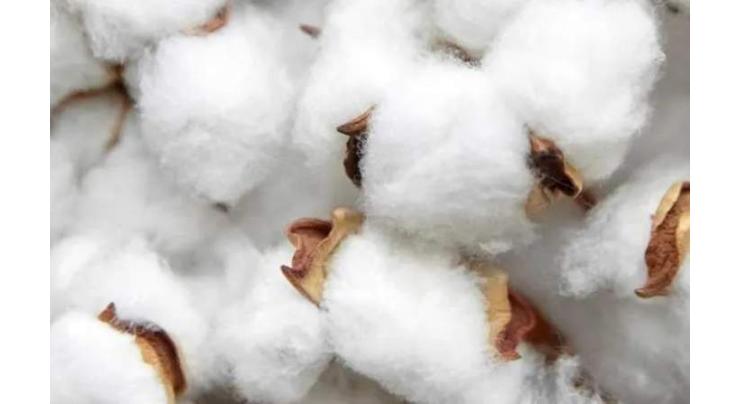 Cotton futures close higher
