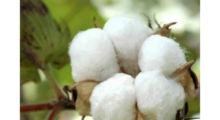 Cotton futures close higher
