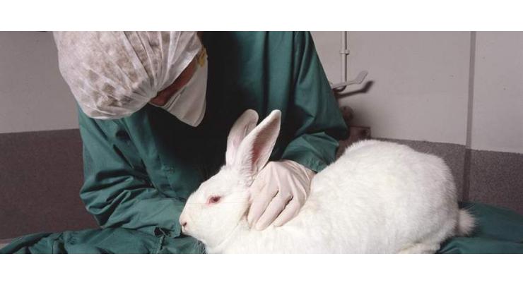 European Lawmakers Call for Plan to Phase Out Use of Animals in Research, Testing