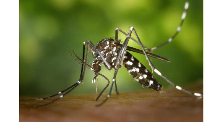 Health secretary urges citizens to adopt precautionary measures against dengue
