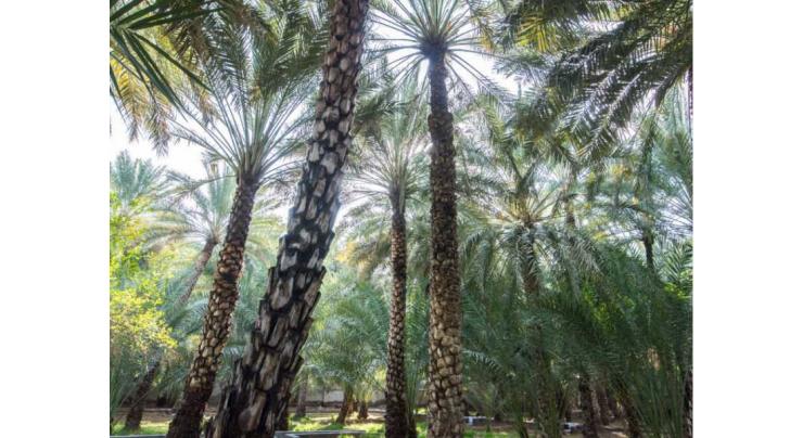 Decision to register agricultural land leases in Abu Dhabi