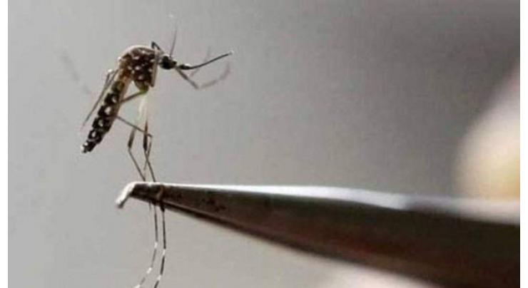 Anti-dengue drive in full swing in Peshawar
