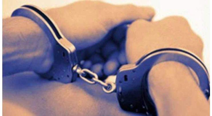 Female pickpocket gang busted, 4 arrested
