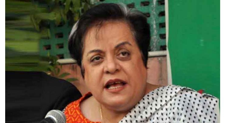 Use of EVMs only way to stop rigging in elections:  Mazari
