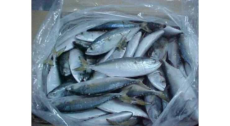 Govt constructs 380 fish farms in KP
