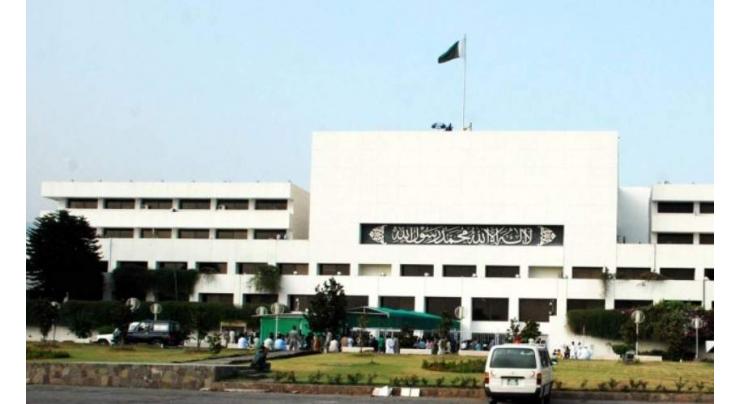 National Assembly body takes exception to fabricated report on Pakistan's minorities by UK group
