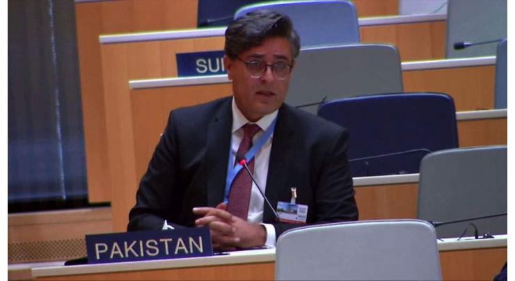 Pakistan urges UNHRC to stand up for people of IIOJK

 