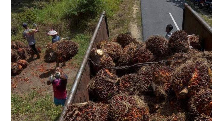 Pakistan fourth largest importer of Malaysian palm oil after India, EU and China: Malaysian CG
