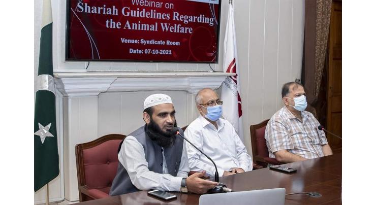 UVAS holds webinar on ‘Shariah Guidelines regarding Animal Welfare’