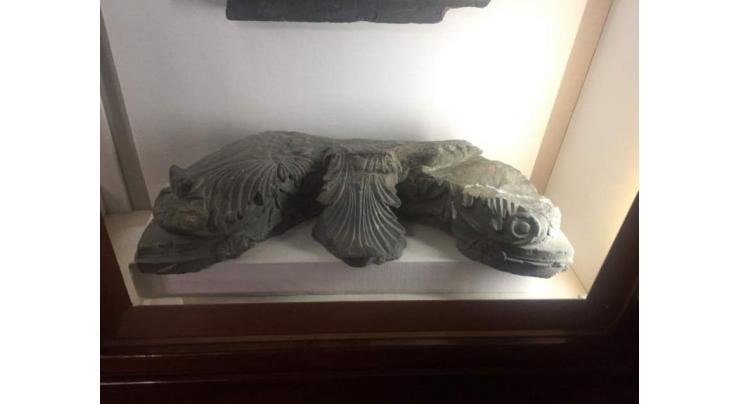 Gandhara festival attracting diverse audience at Taxila Museum
