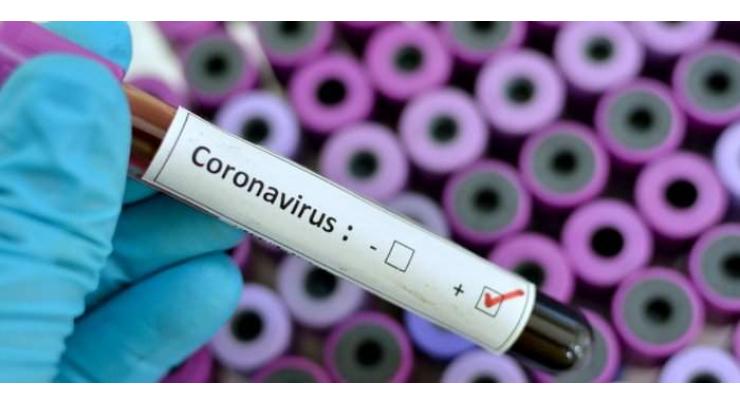 Virologist Says Coronavirus May Have Evolved in Chinese Miner Infected in 2012 - Reports