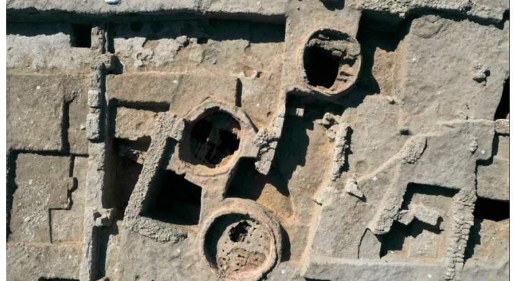 Israeli archaeologists uncover 'world's largest' Byzantine-era winery
