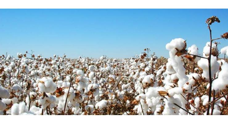 Spot rates of cotton (Crop 2021-22)
