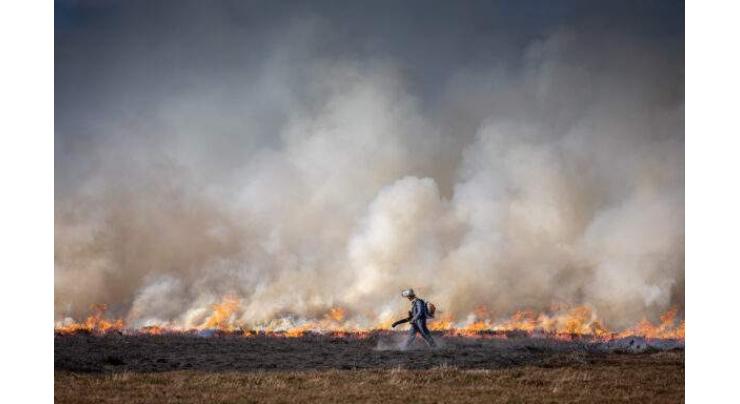Greenpeace UK Warns of Fires Deliberately Lit on England's Carbon-Rich Peatlands