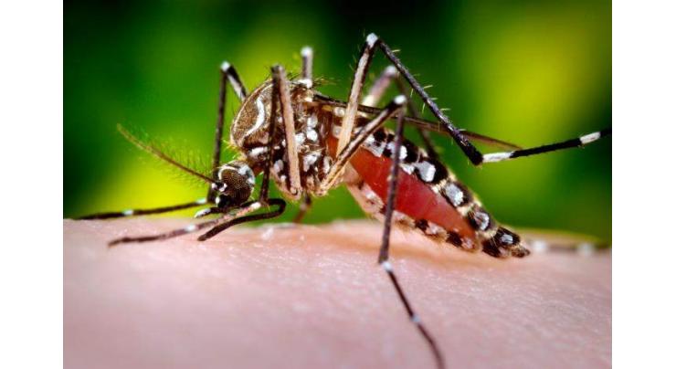 Dengue cases climbs to 3796 after 229 new cases in KP
