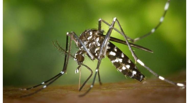 Dengue situation reviewed
