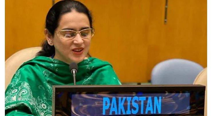 At UN, Pakistan highlights enforced disappearance in IIOJK, crackdown on press
