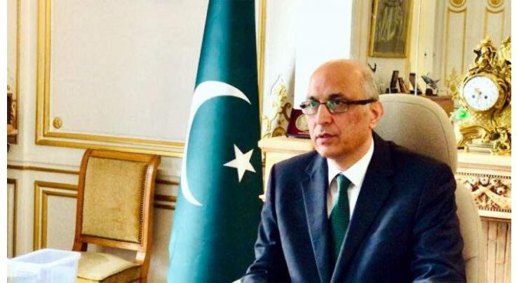 Pakistan plans to enhance automobile production to one million units: Ambassador Haque
