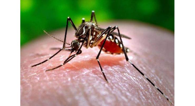 Number of dengue patients surpasses 5000 in KP
